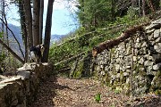 21 Alberi abbattuti dalla furia del vento